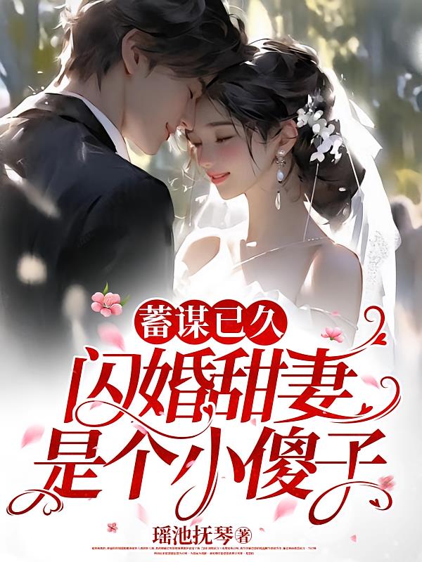 蓄谋已久，闪婚甜妻是个小傻子