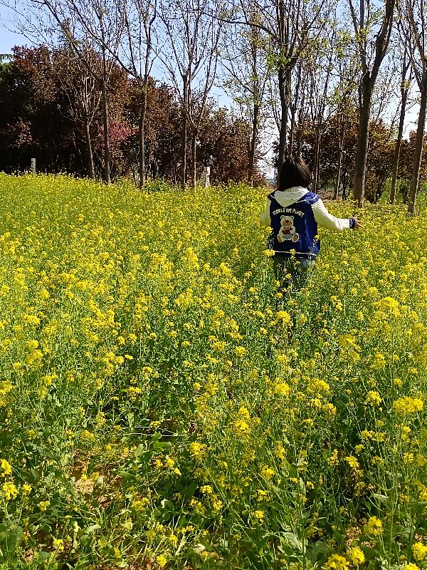 情锁烟花