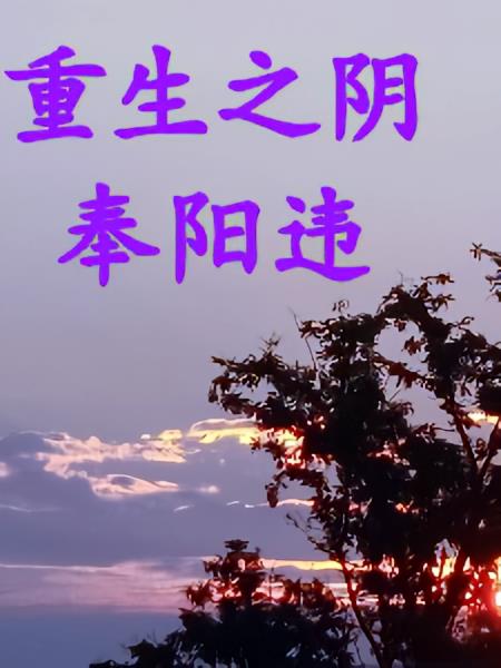 重生之阴奉阳违