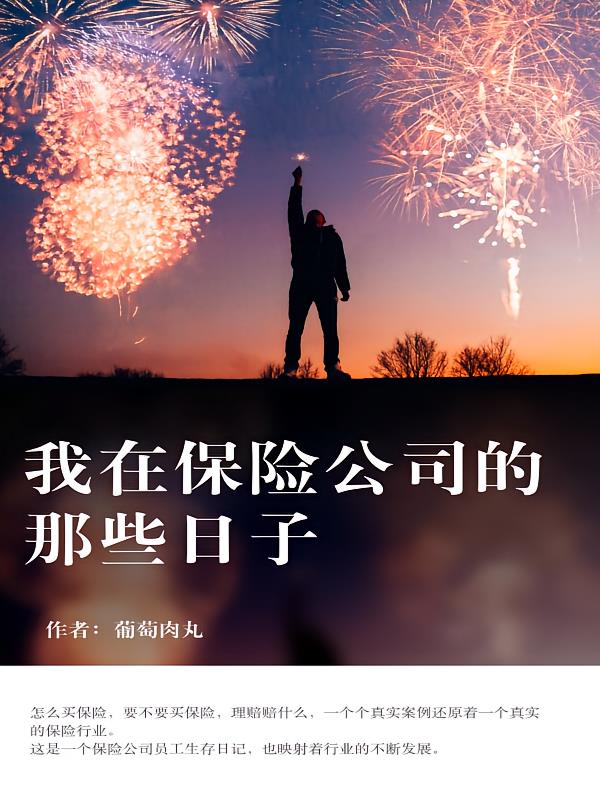 我在保险公司的那些日子