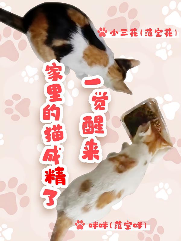 一觉醒来家里的猫成精了！！！