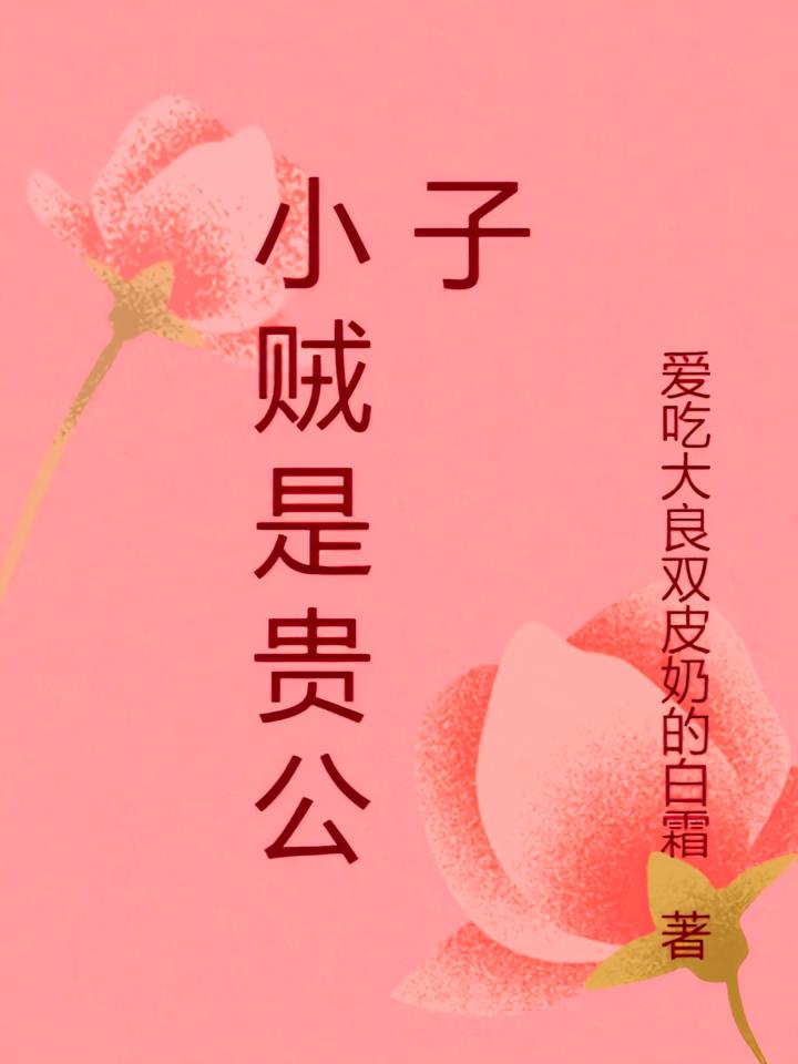 小贼是贵公子