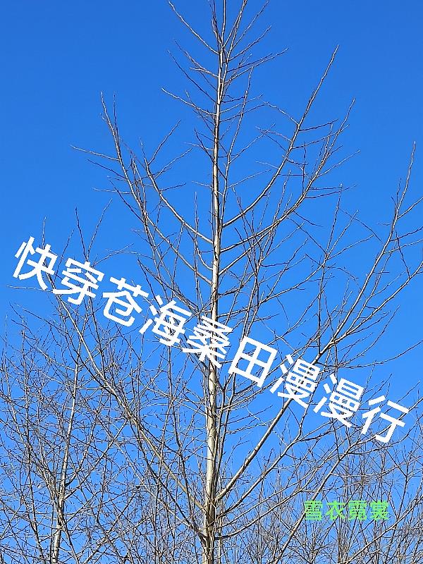 快穿沧海桑田漫漫行