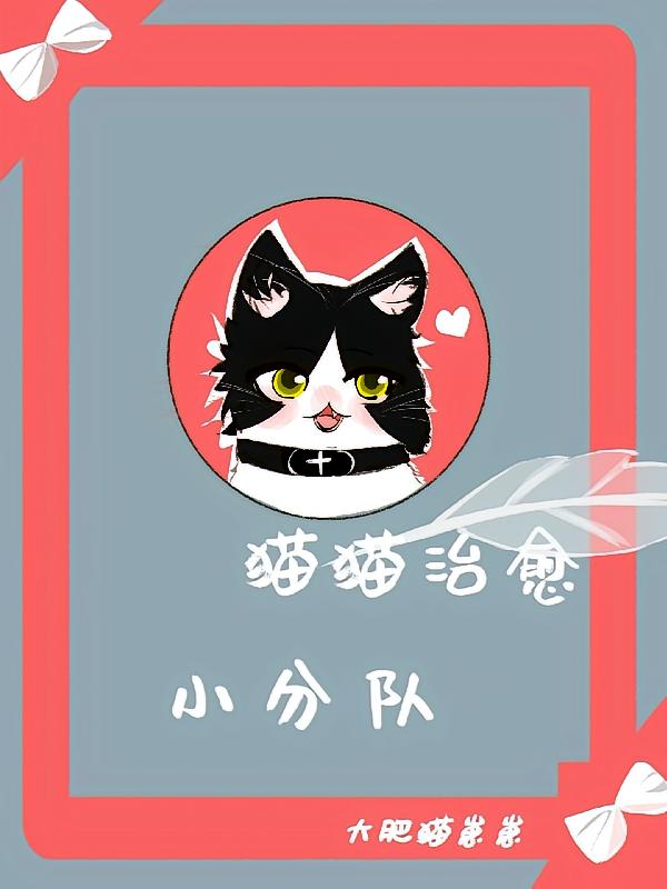 猫猫治愈小分队